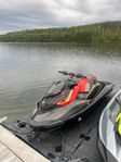 SEA-DOO RXP-X 300 RS