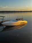 Wellcraft Scarab 19ft