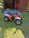 Quad junior 50