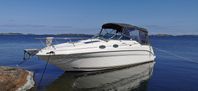 SeaRay 260 sundancer-01