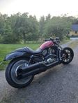 Harley-Davidson Vrod