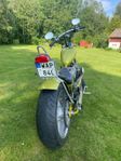 Chopper Buell T12BF 2024