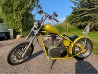 Chopper Buell T12BF 2024