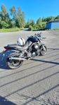 yamaha bt1100 Bulldog