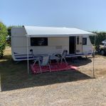 Polar 590 LB Selected 2019 