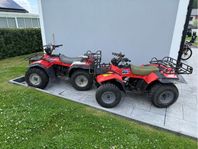 Suzuki king quad och quadrunner