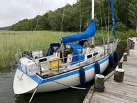 Forgus 31