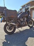 Harley Pan America Special