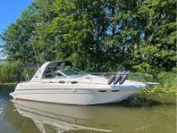 Sea Ray Sundancer