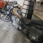 Honda Shadow 600c