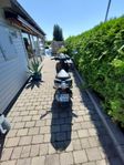 DERBI BOULEVARD EU MOPED