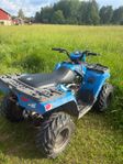 Polaris sportsman 110 EFI