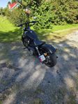 streetbob