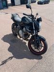 Kawasaki er6n