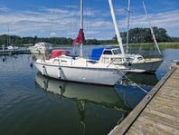 Aphrodite 25