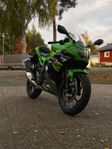 Kawasaki Ninja 125, A1 2020