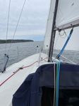 Maxi 77 "Oasen"