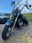 Honda vt1100