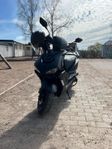 Viarelli Monztro