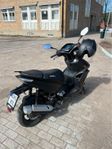 Viarelli Monztro