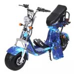 Fatscooter & Elmoped