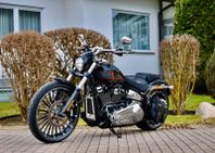 Harley Davidson BreakOut 117 / Vans & Hines mm