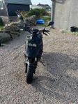 PGO Big Max Naked 2022