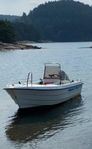 Motorbåt Ryds 480 DL styrpulpet 
