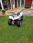 Suzuki LT-Z50 2016