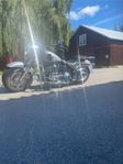 Fat boy