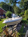 Uttern S52, Yamaha F60 och Thule obromsad trailer