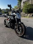Kawasaki ER-6n