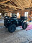Yamaha Grizzly 660 inkl Warnplog