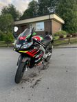Aprilia Rs 125 (GP Replica)