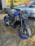 Mt 09 