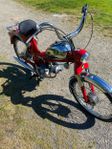 Puch