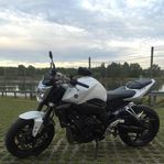 Yamaha Fz1-N