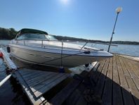 Sea Ray 260cc GreenDream inkl 30km/h trailer