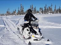 Ski doo summit 800 146