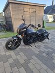 Indian scout rogue