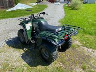 Fyrhjuling Yamaha YFR 250 (Bear Tracker)