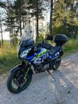 Suzuki DL650a