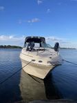 Sea Ray 240 Sundancer - 02 Bogpropeller mm