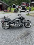 HD V-rod