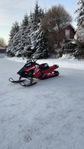 Polaris PRO rmk 850 2019 shorty