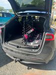 Hund i Tesla Model Y