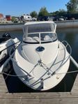 Örnvik Daycruiser 540