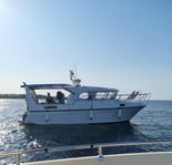 Viknes 880 2008