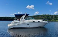 SeaRay Sundancer 260 Ny Motor