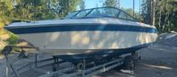 Sea ray daycruiser